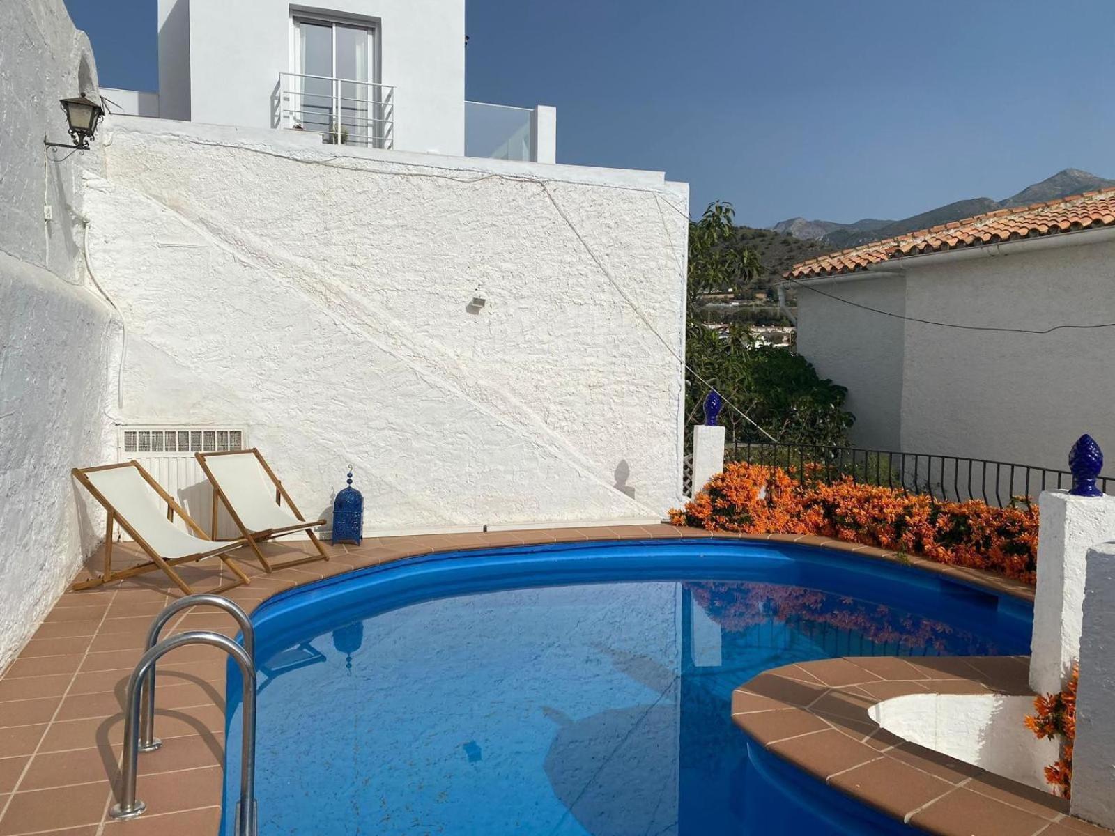 Ap419 - Chumbera Nerja