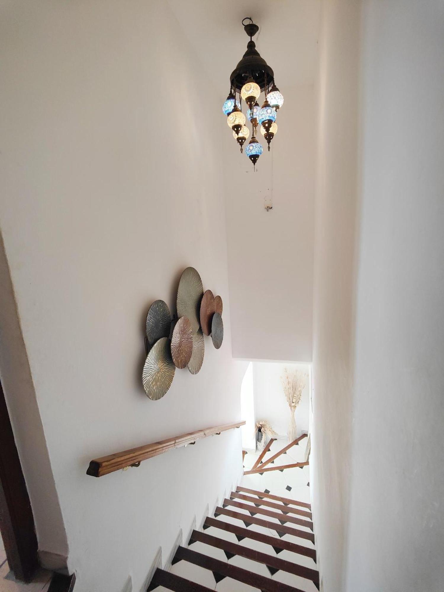 Ap419 - Chumbera Nerja