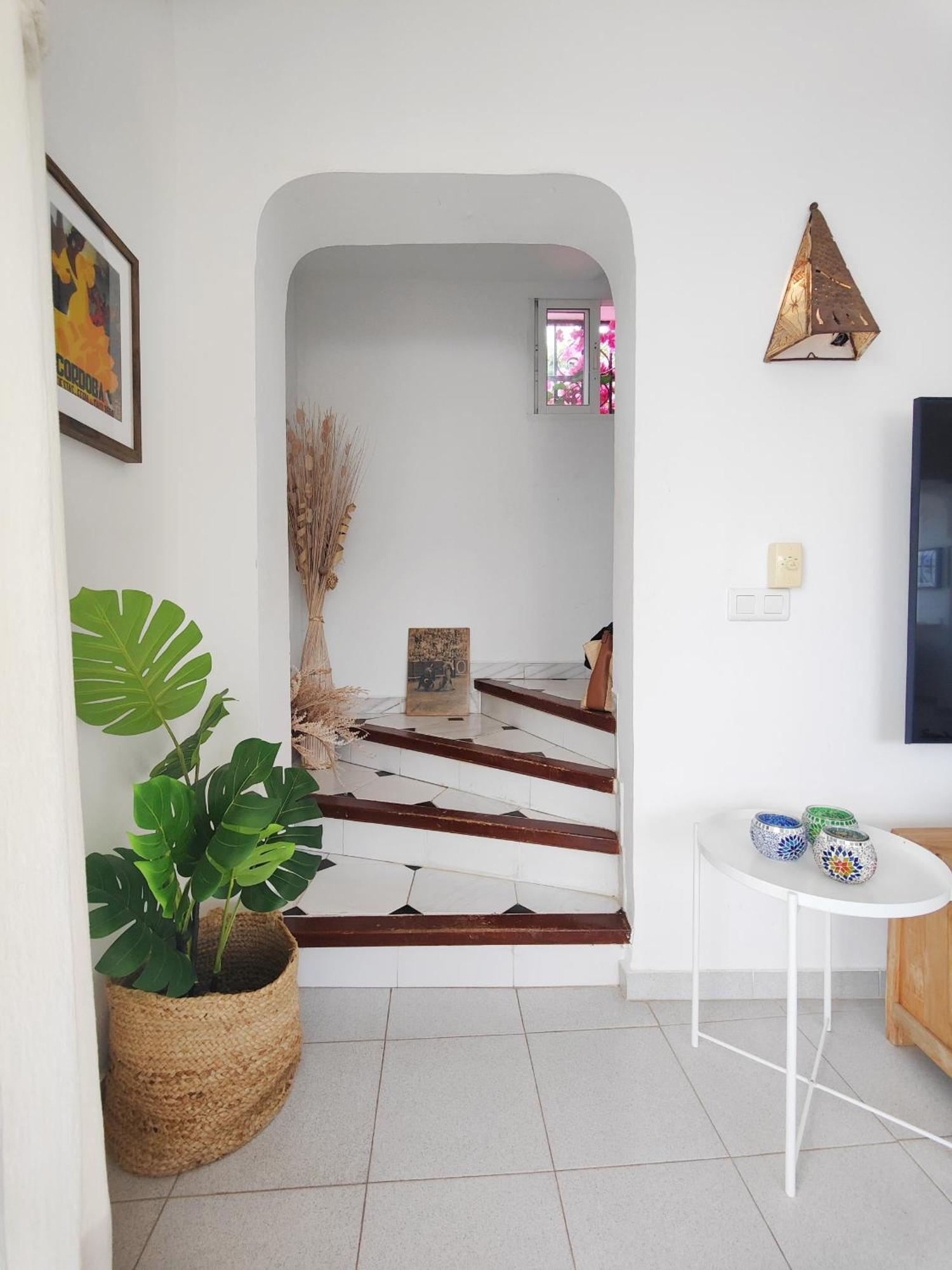Ap419 - Chumbera Villa Nerja